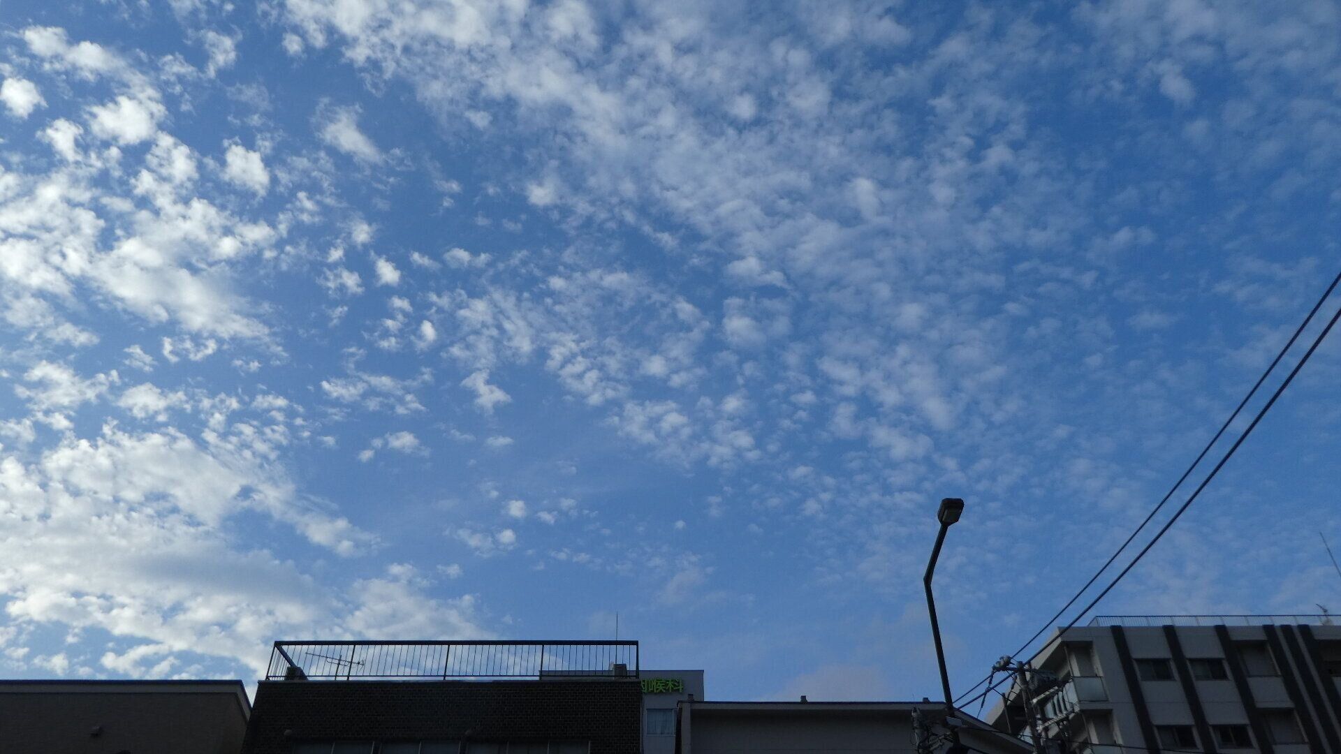 青空とうろこ雲
