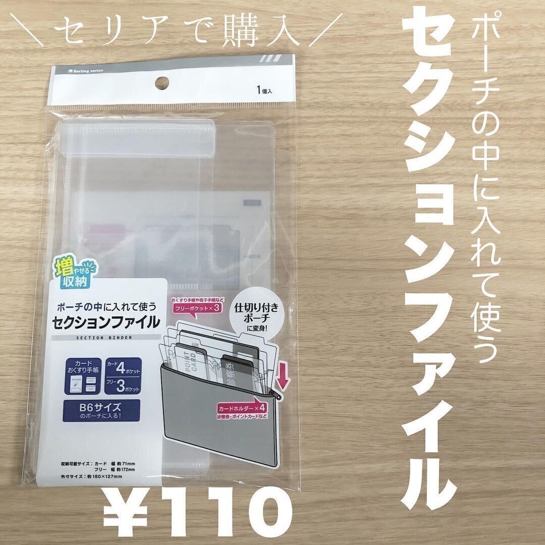 ポーチの中に入れてつかうセクションファイルが便利