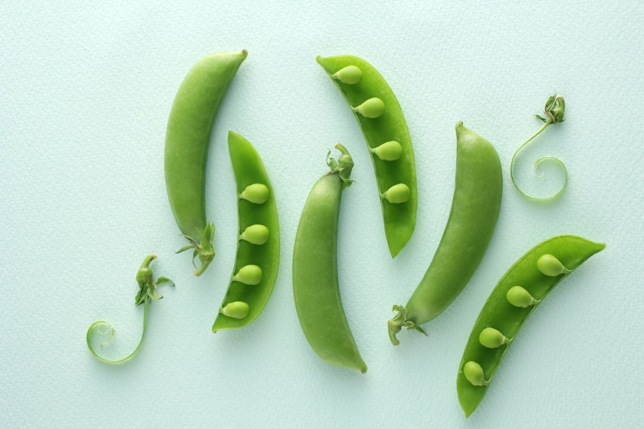 スナップエンドウ画像写真