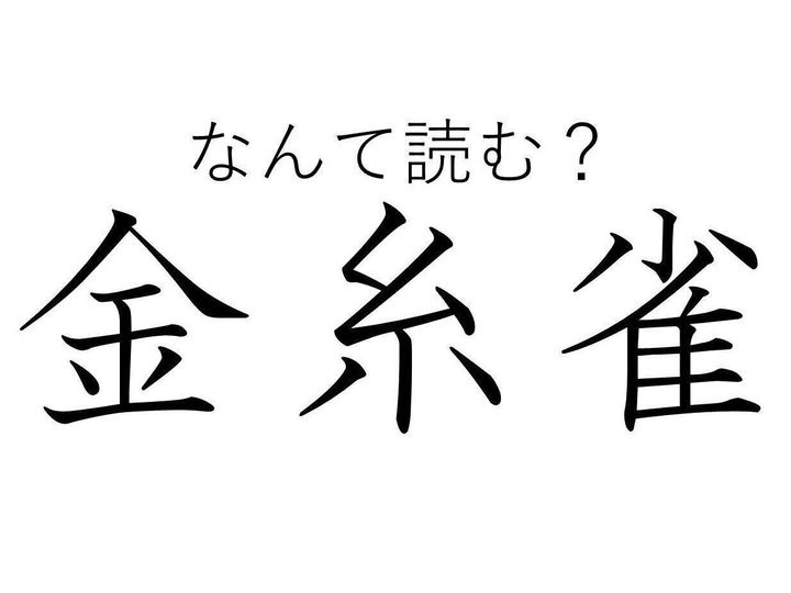 知っていると自慢できる 難読漢字クイズ 金糸雀 はなんて読む サンキュ 知っていると自慢できる 難読漢字クイズ 金糸雀 はなんて読む サンキュ