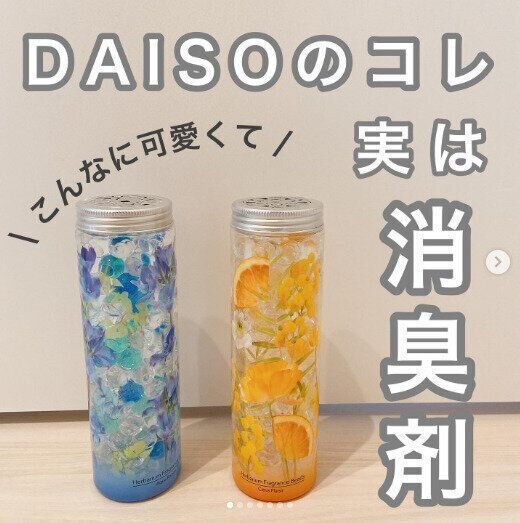 【ダイソー】ダイソーさん！これが消臭剤とかレベチすぎるでしょ！