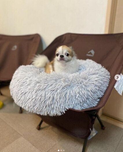 【ワークマン】たき火やバーベキューで大活躍！