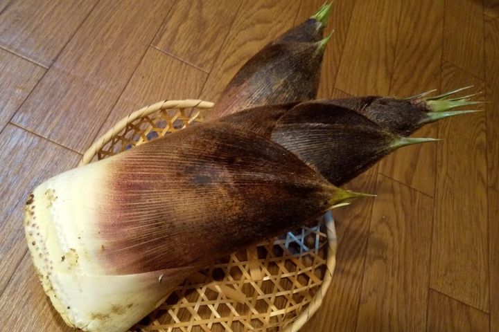 タケノコはどこで おいしい を見分けるの 知らないと損する タケノコ選び のポイント サンキュ タケノコはどこで おいしい を見分けるの 知らないと損する タケノコ選び のポイント サンキュ