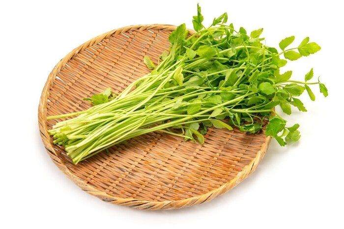 【管理栄養士監修】「芹（せり）」の主な栄養素とカロリーまとめ！おすすめな調理方法は？