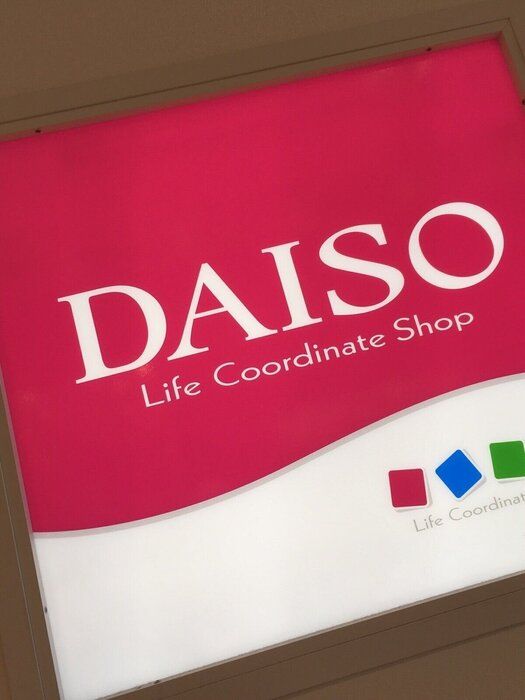 【ダイソー】考えた人天才！買い物ストレス激減『進化版エコバッグ』発見！