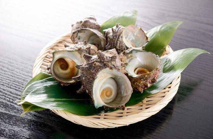 【管理栄養士監修】「サザエ」の主な栄養素とカロリーまとめ！おすすめな調理方法は？