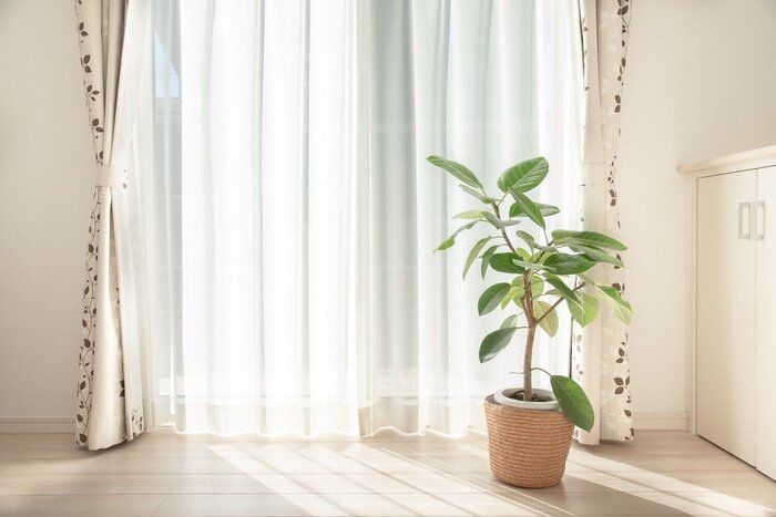 家をキレイを保つために捨てたもの＆買わないもの