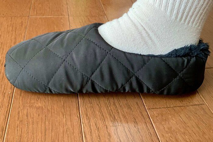 横から見たところ