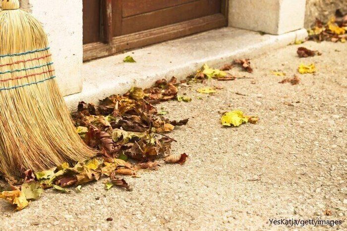 【虫対策】虫嫌い必見！虫の侵入を防ぐ「室外機ホース防虫キャップ」はもうゲットした？