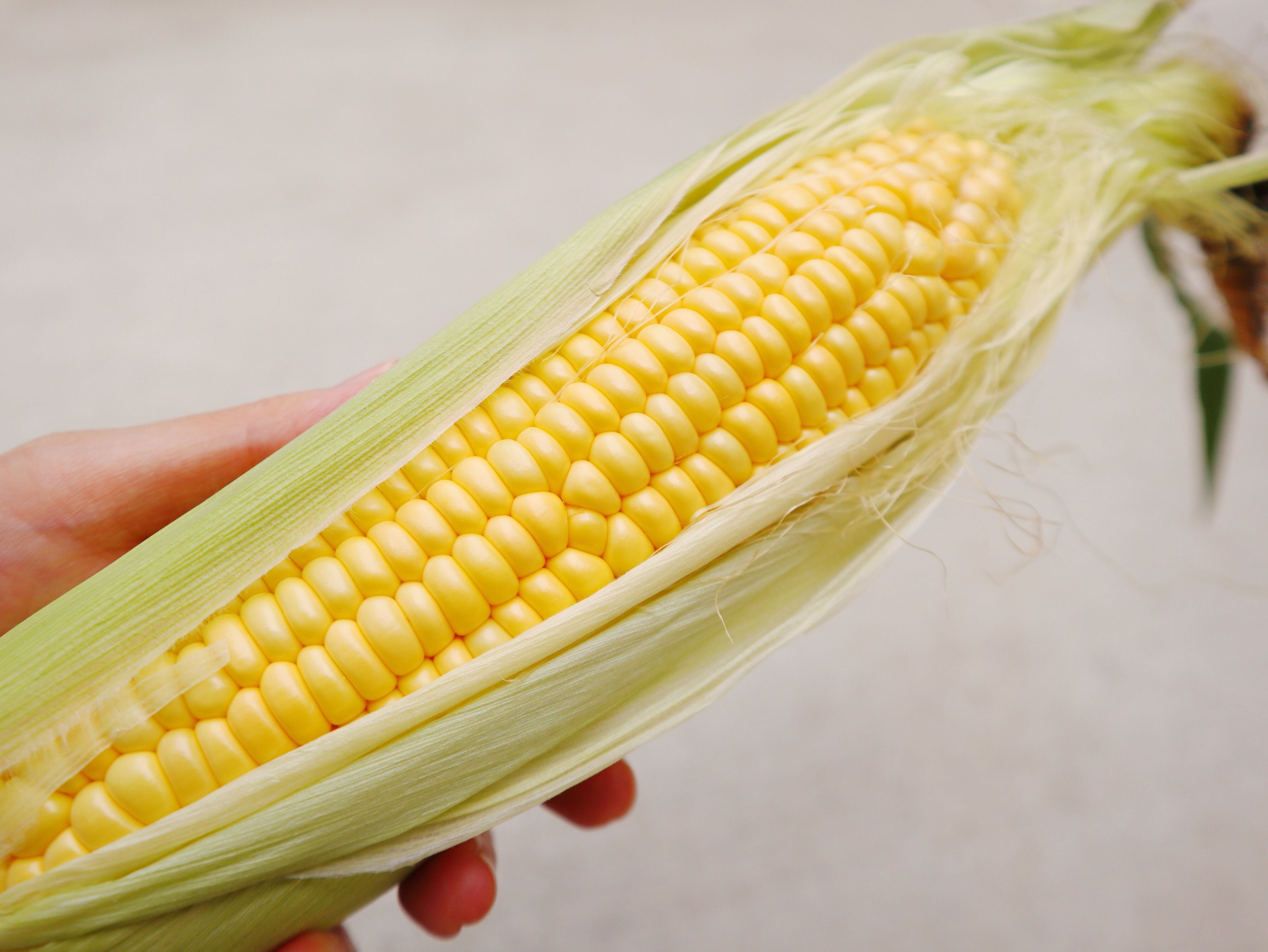 旬のとうもろこしをスーパーで買うときにおいしいものを見分けるコツとは？