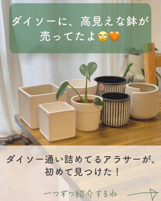 【ダイソー】おしゃれなデザインで植物を格上げ!