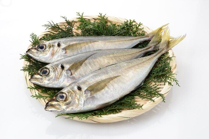 【管理栄養士監修】「アジ」の主な栄養素とカロリーまとめ！おすすめな調理方法は？