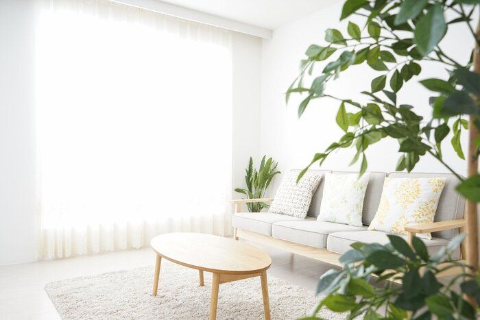 誰もシンプルな部屋