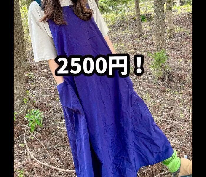 【ワークマン】ずっと着れる!レディース撥水ジャンスカ