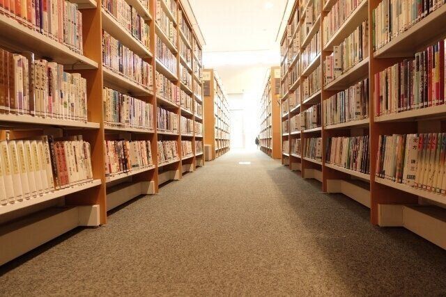 週に1回ほど図書館に行っています。