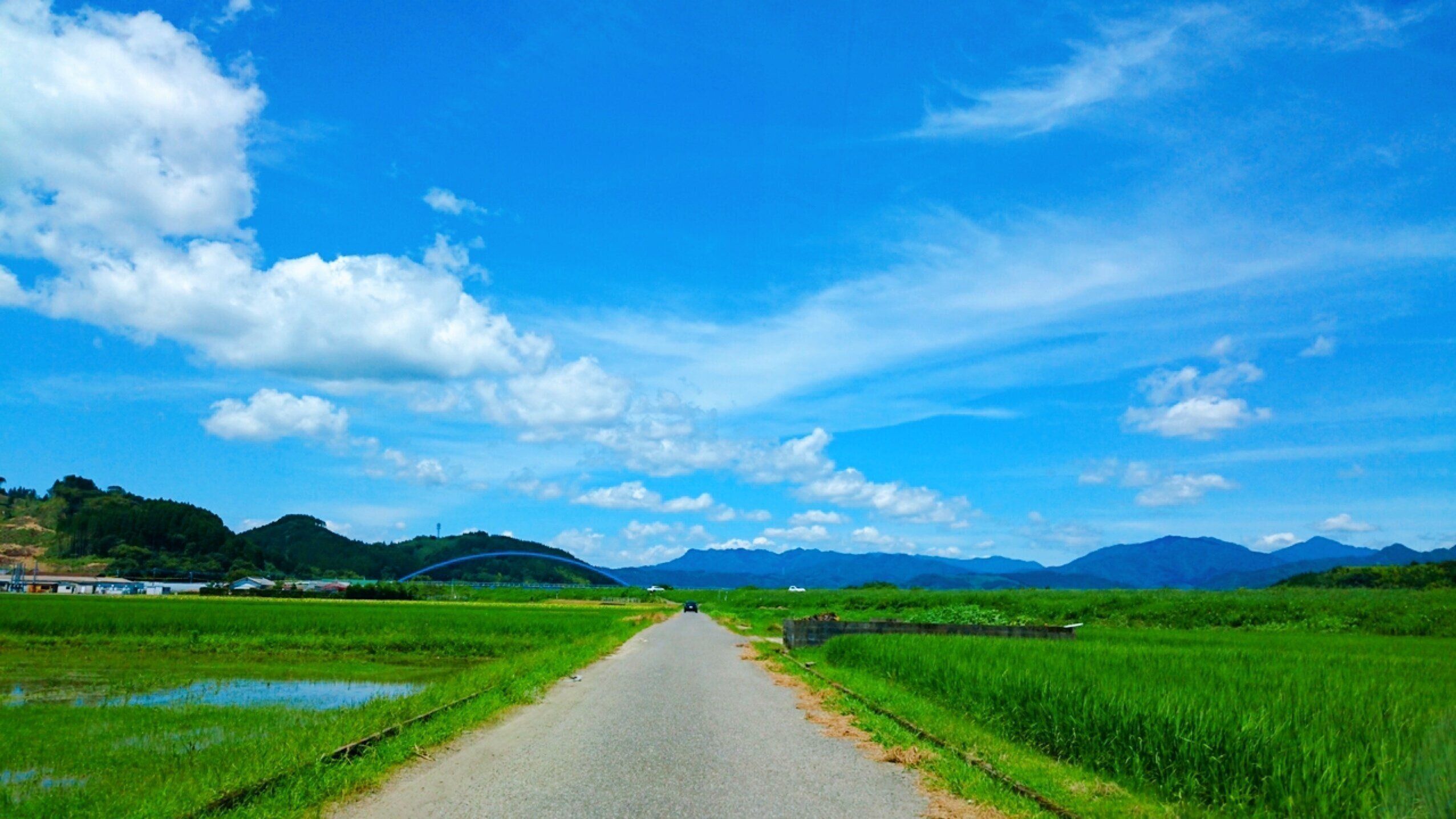 【カルディ】懐かしさ満載！味で昔を思い出す昭和風のアイス3選