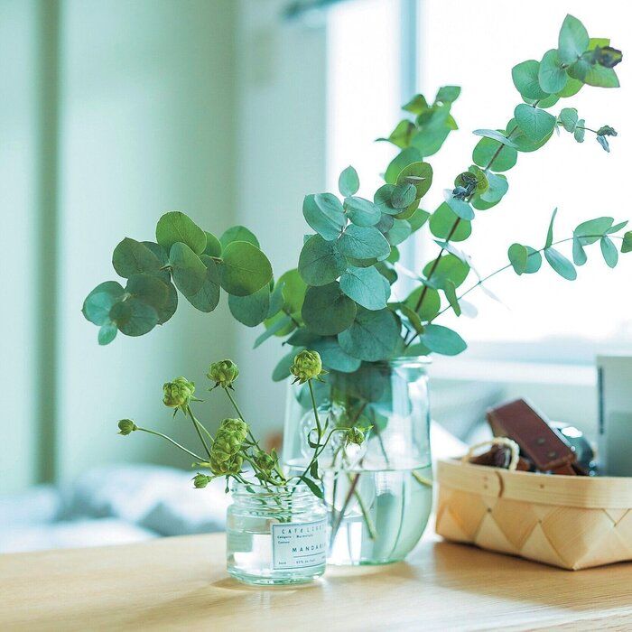 「人から頂いた物」まで断捨離（Ｒ）ちゃっていいの？提唱者、やましたひでこさんの答え。