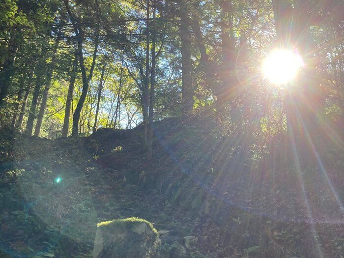 1年で200万円貯めた主婦が朝にやっている5つの習慣