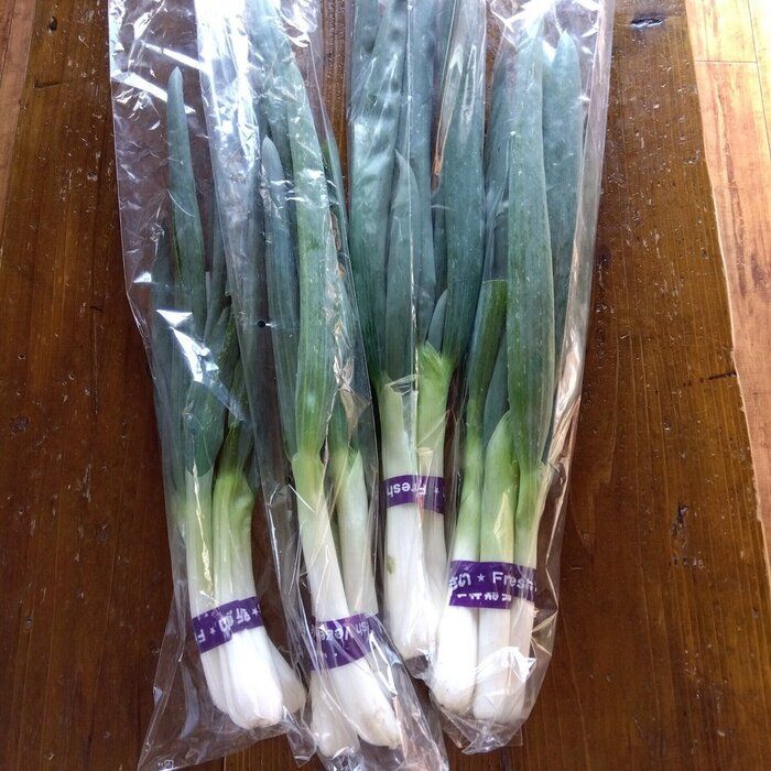 安い！うまい！最高の冬の味覚｢下仁田ネギ｣を味わい尽くす