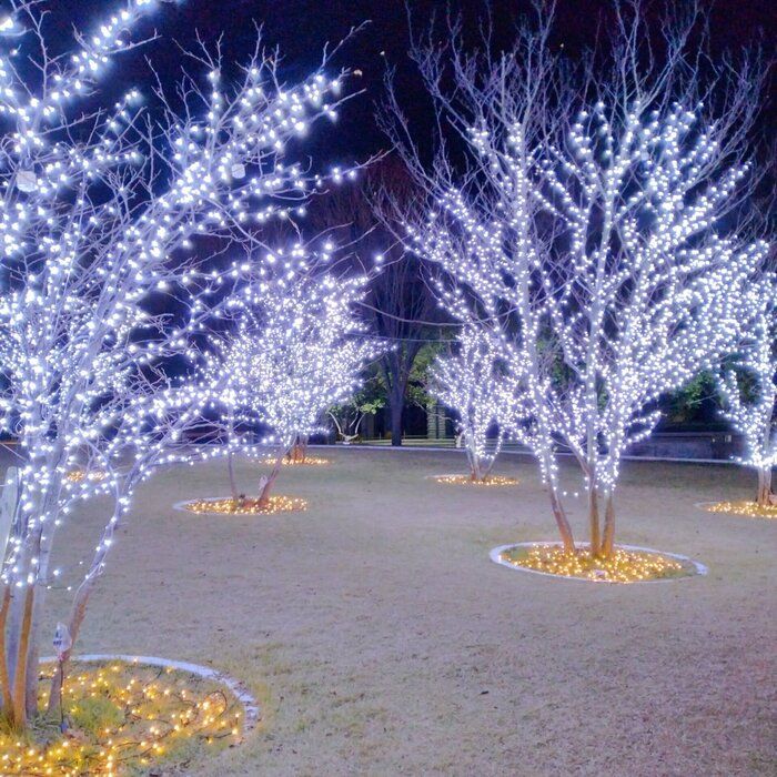 年間貯蓄320万円！貯金力がUPする3つの｢考え方｣