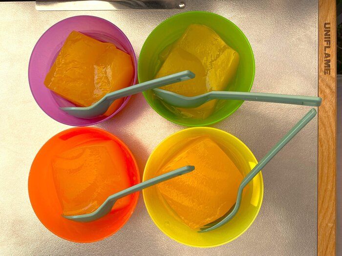 【業務スーパー】紙パックデザート×アウトドア　我が家の定番！暑い季節のアウトドアには紙パックデザートが便利！