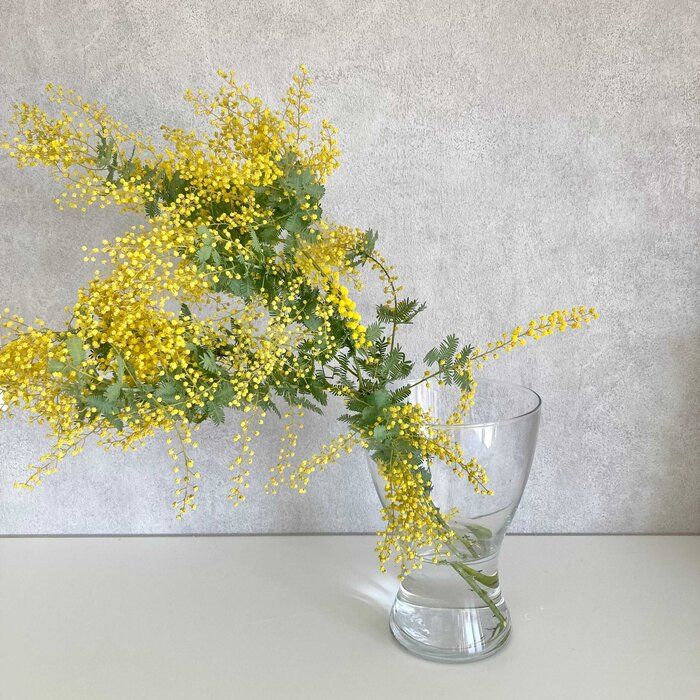 【もうダランってならない】5秒あればできる！家にあるもので枝ものをまっすぐ立てる方法