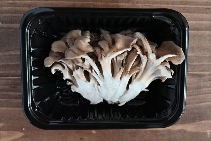 旨味たっぷり！舞茸をたっぷり味わおう♪副菜から主食まで！舞茸1パック使い切りレシピ4選