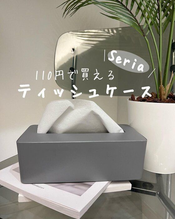 見つけたらレジに直行！【セリア】「110円で買える推し」「20枚も収納できる」超便利4選