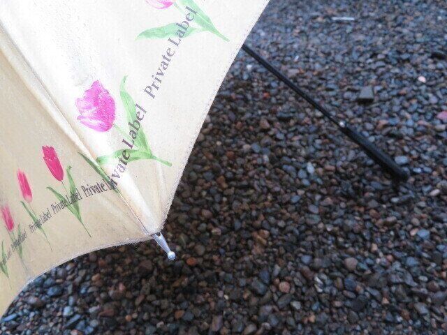 雨の日が増えたら庭やベランダを要チェック！蚊が発生しやすい家とは