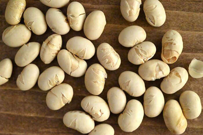 節分じゃなくても買いたくなる！「煎り大豆」で作る♪簡単副菜レシピ3選