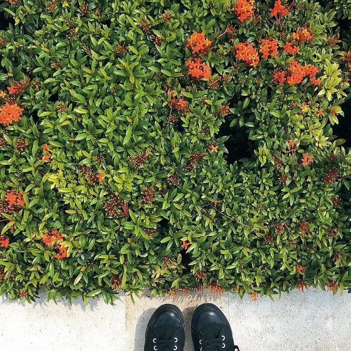 小さな暮らしで貯めている人に聞いた！お金をかけなくても味わえる「とっておきのぜいたく」