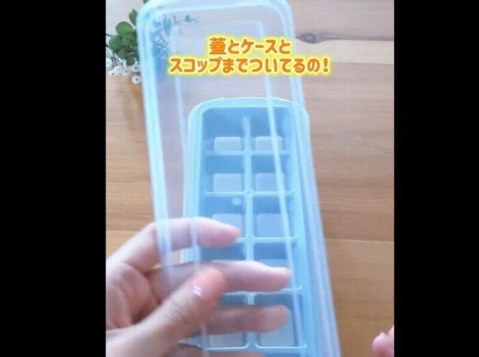 【ダイソー】売り切れ注意!アイストレー
