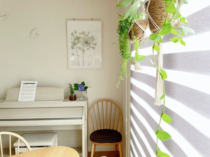 もう枯らさない！インテリアグリーンを育てる3つのコツ