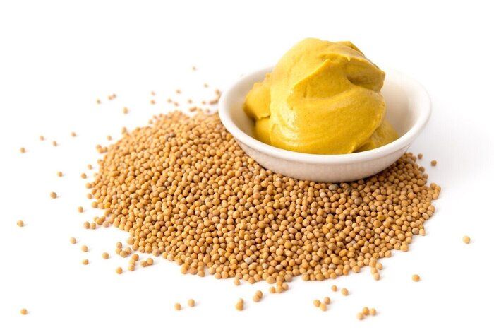 【管理栄養士監修】賞味期限切れの「マスタード」は冷蔵保存でいつまで食べられる？傷んだときの特徴や保存方法を解説！