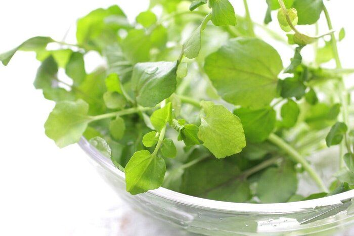 【管理栄養士監修】「クレソン」の主な栄養素とカロリーまとめ！おすすめな調理方法は？