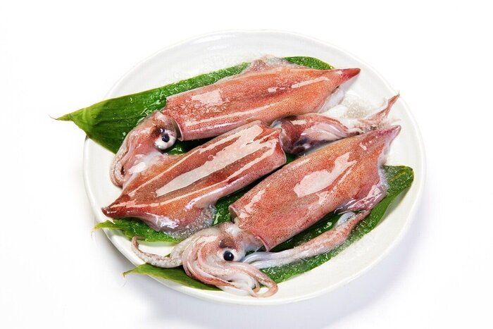 【管理栄養士監修】「イカ」の主な栄養素とカロリーまとめ！おすすめな調理方法は？