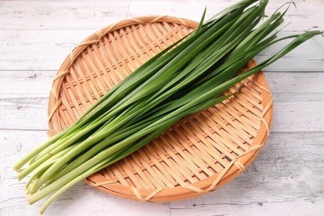 平ざるにのったニラ