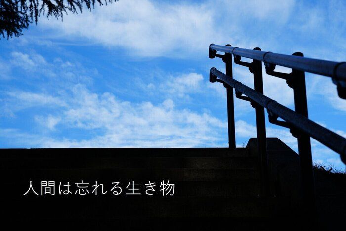 人間は忘れる生き物～ストックを忘れないコツ～