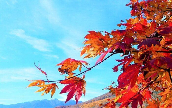 「一雨一度」 家事を効率化する天気の法則を気象予報士が解説！