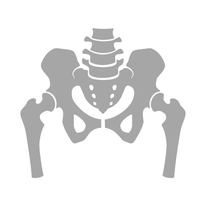 ザックリ分けると3タイプ 骨盤の歪み別 気をつけたい習慣と改善する方法 サンキュ