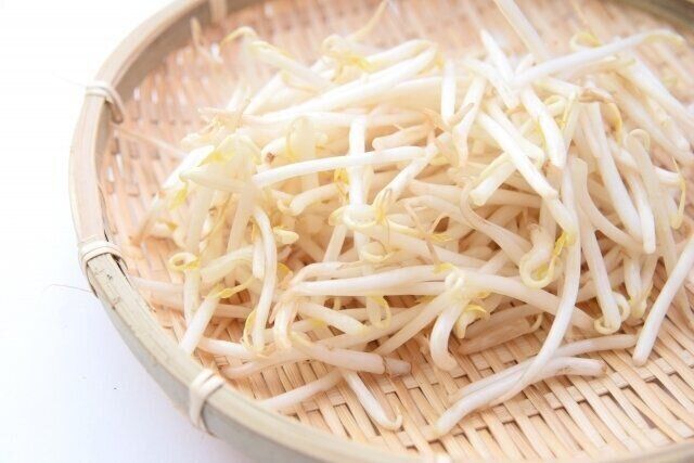もやし
