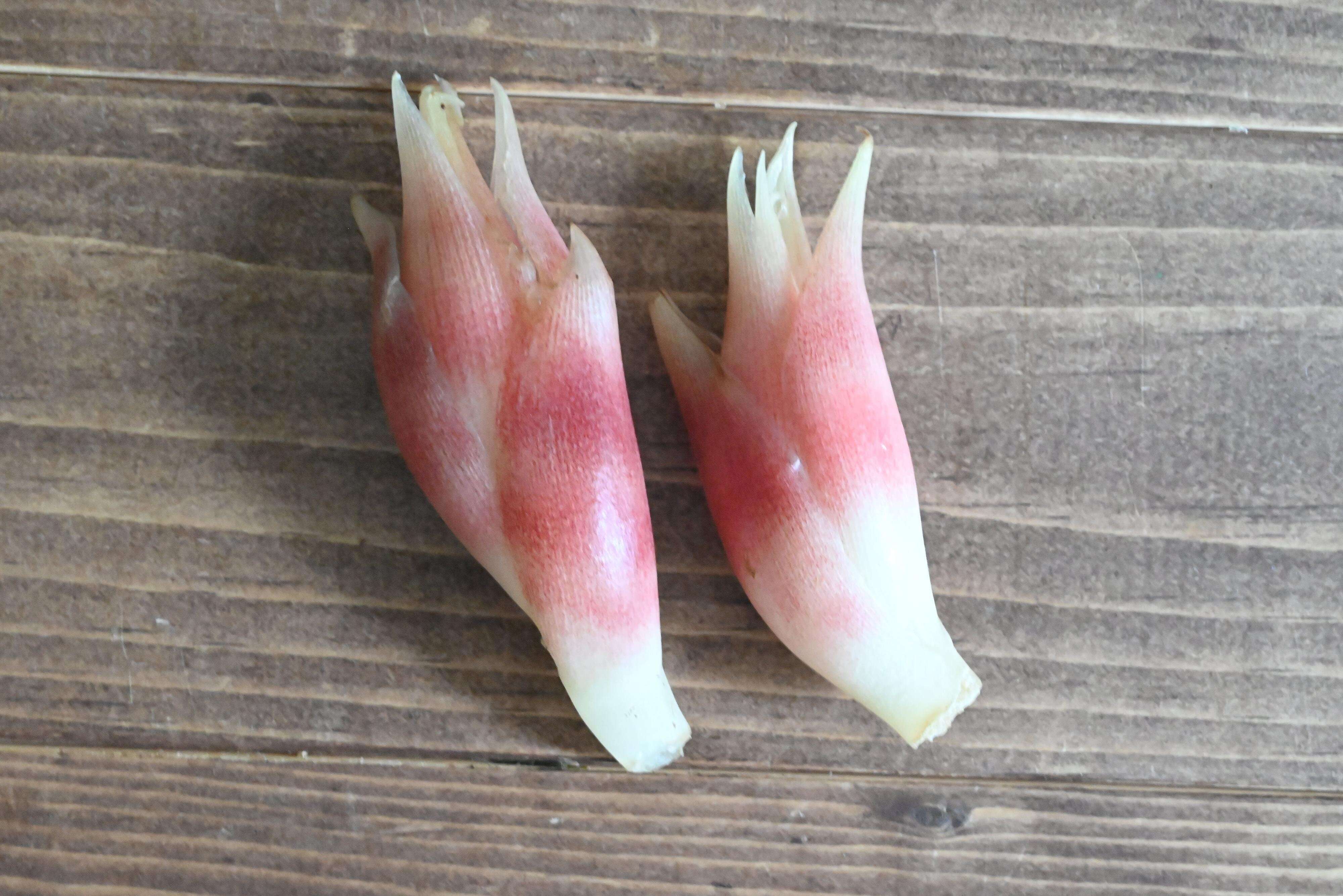 薬味が食べたくなる季節♪微妙に残った薬味をおいしく食べ切るおすすめレシピ3選