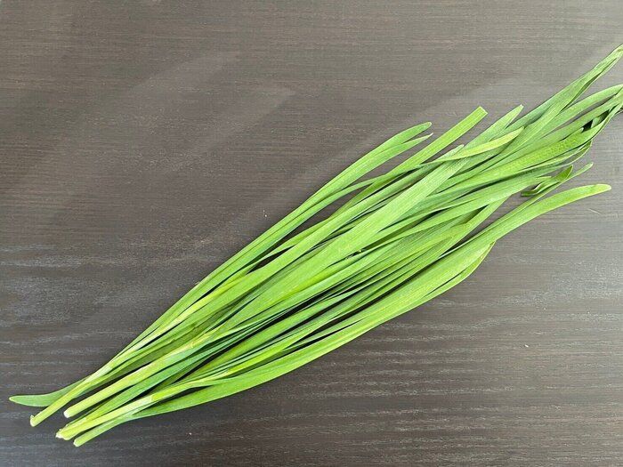 【旬食材】キッチンバサミで切るだけ！にらは冷凍保存が簡単で便利＆にらをたっぷり消費する主食レシピ2選