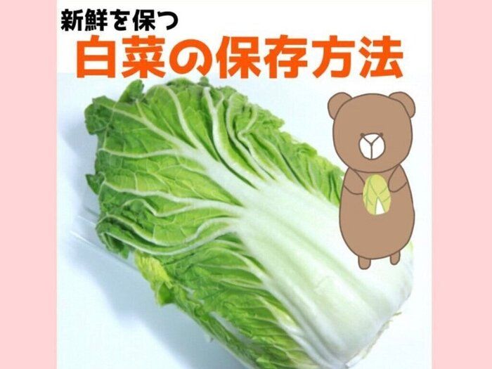 野菜のプロが教える、新鮮を保つ【旬食材】白菜の保存方法
