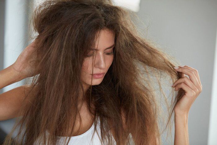 保持を持つ女性には、乾燥した髪が破損しています。髪の損傷、ヘアケア。