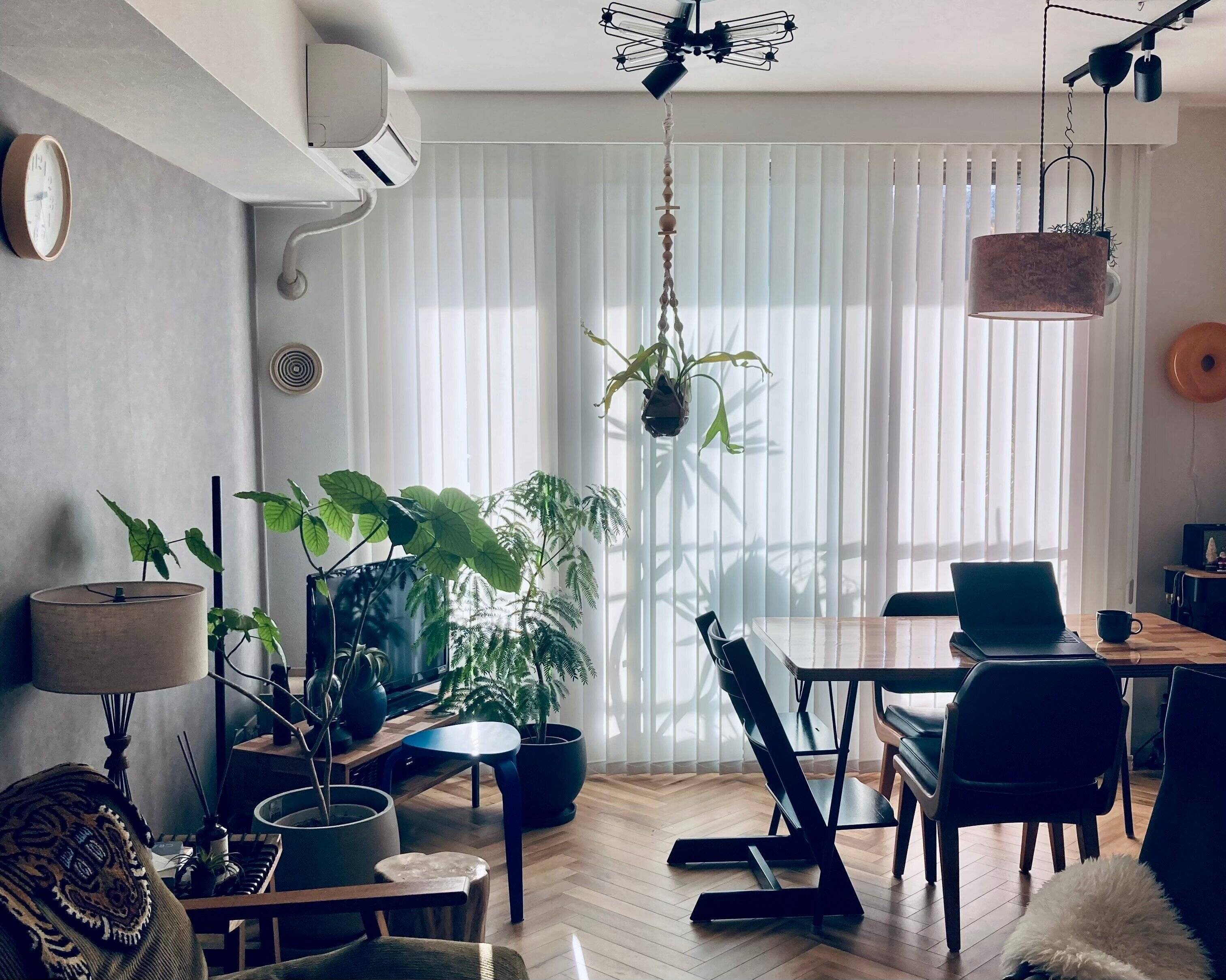 窓まわりは【ニトリ】が最強な理由！4選