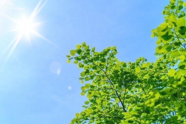 便秘 中医学