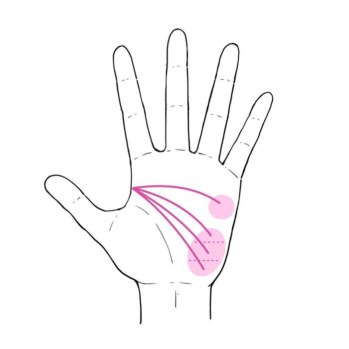 3秒でわかる手相術！うちの子どもに向いている習い事のタイプ4