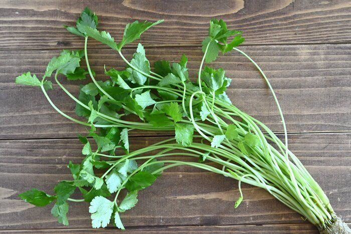 【旬食材】三つ葉を薬味から主役に格上げ！三つ葉のおいしさを堪能できる、簡単レシピ3選