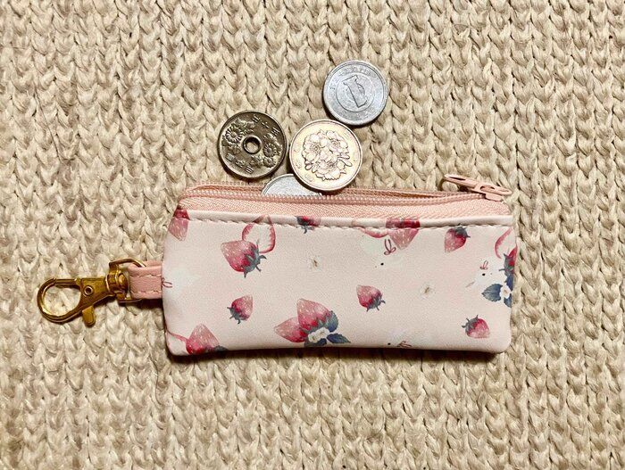 コインケースとして使用